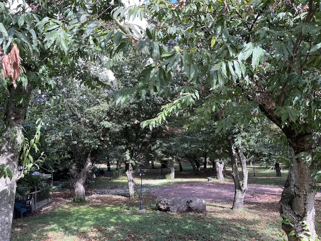 Lucia Petracca_Parco dei castagni_Roccadaspide_review