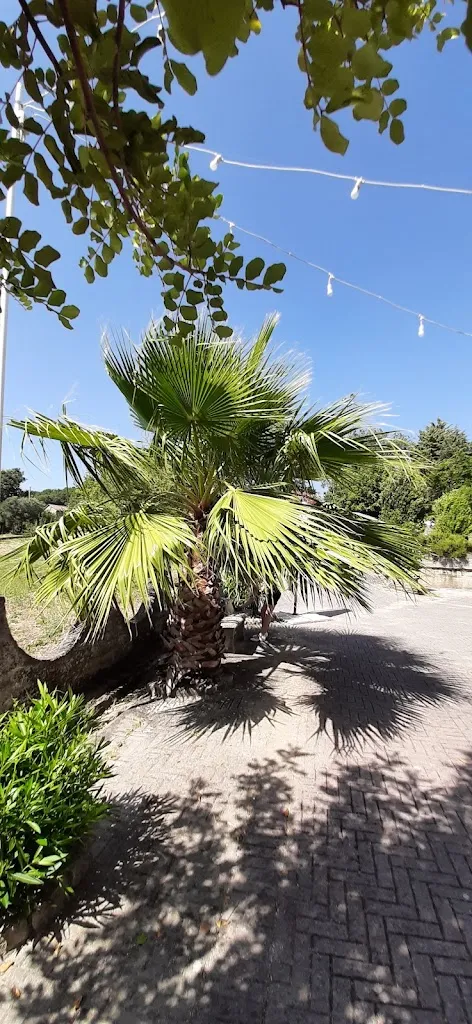 Hotel Panorama_Roccadaspide_slider_image_3