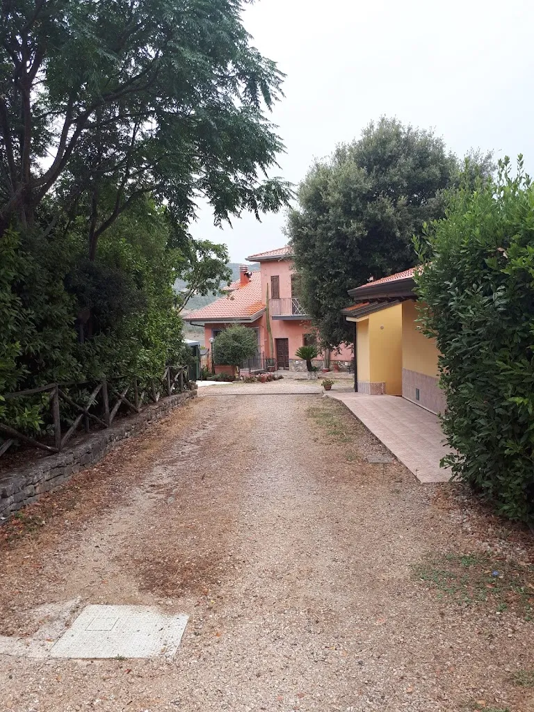 Letizia Frassi_Agriturismo Quaglia_Roccadaspide_recensione