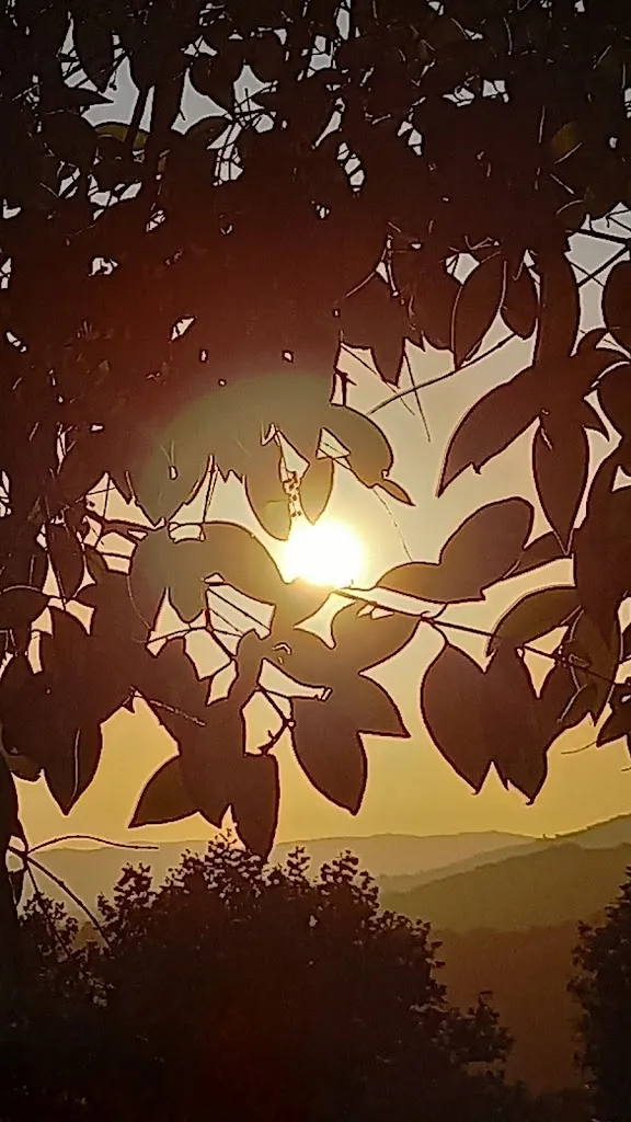 Costantino Stabile_Imperial_Roscigno_review