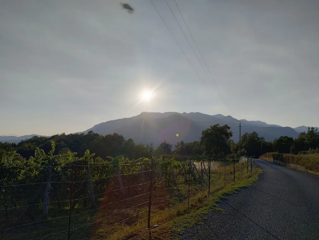 Antonio Schiavano_Il Centauro_Rofrano_review