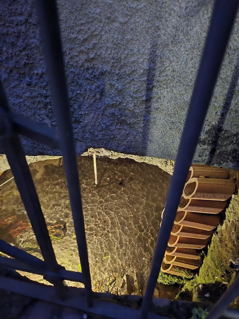 Desiré Di Gregorio_Il vecchio mulino_Sala Consilina_review