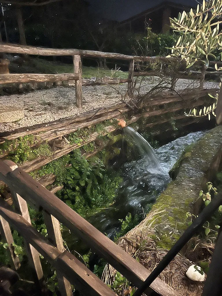 anna augliera_Il vecchio mulino_Sala Consilina_review