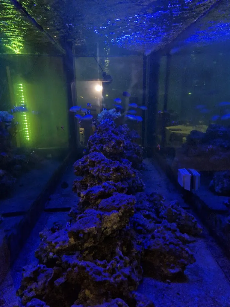 Michele Pizzi_Aquario - Sea Food Restaurant_Sala Consilina_review