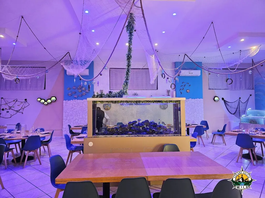 Aquario - Sea Food Restaurant_Sala Consilina_slider_image_1