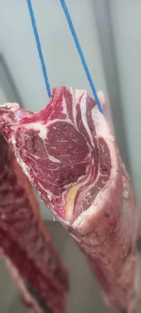 Menu_Il Covo della Bistecca Macelleria Braceria_Sala Consilina_image_7