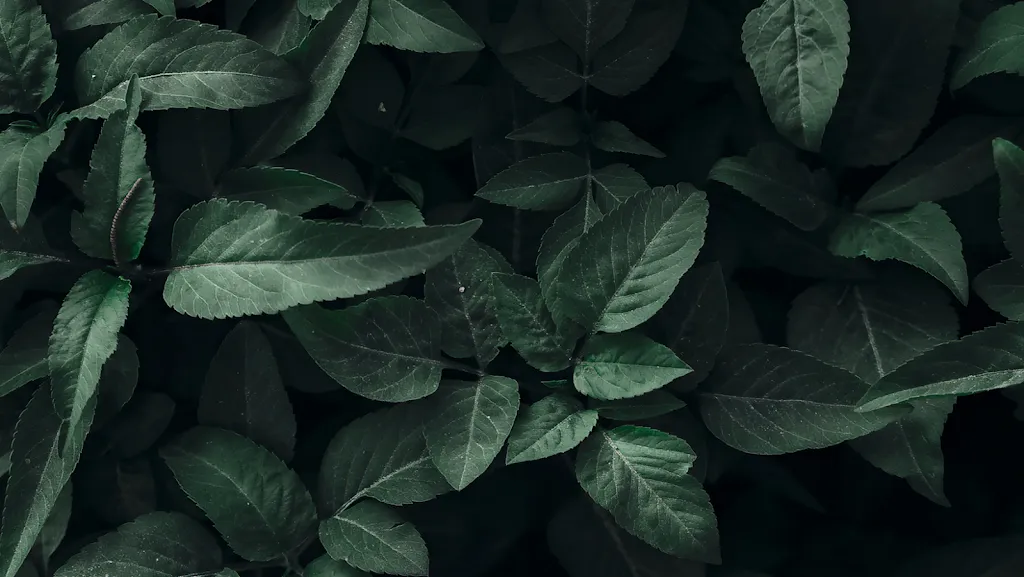 Secret Garden | Sushi - Cocktail - More_Sala Consilina_slider_image_3