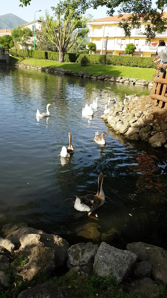 Trattoria 'La Campagnola'_Sala Consilina_slider_image_2