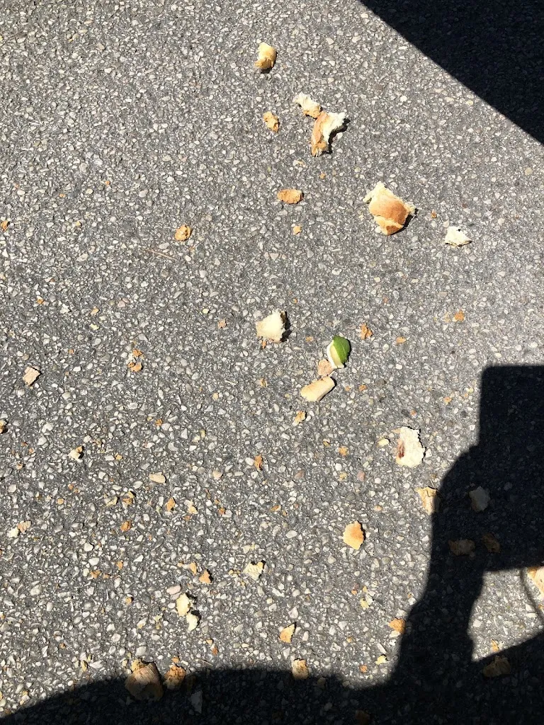 Lamb Gal_Street Munchies_San Giorgio_review