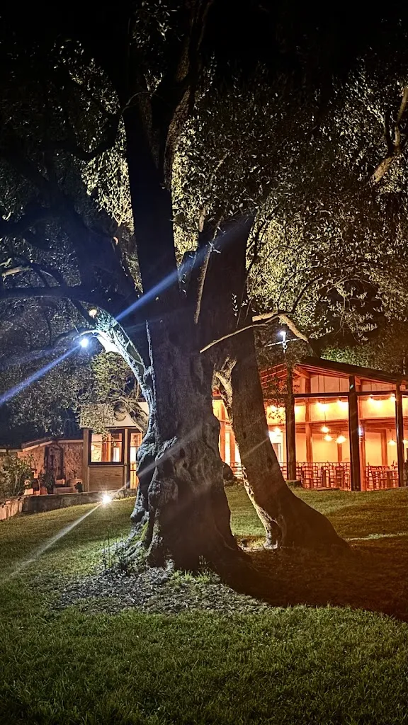 Fi Xi_La Cucina di Pie' d'Ulivo_San Giovanni A Piro_review