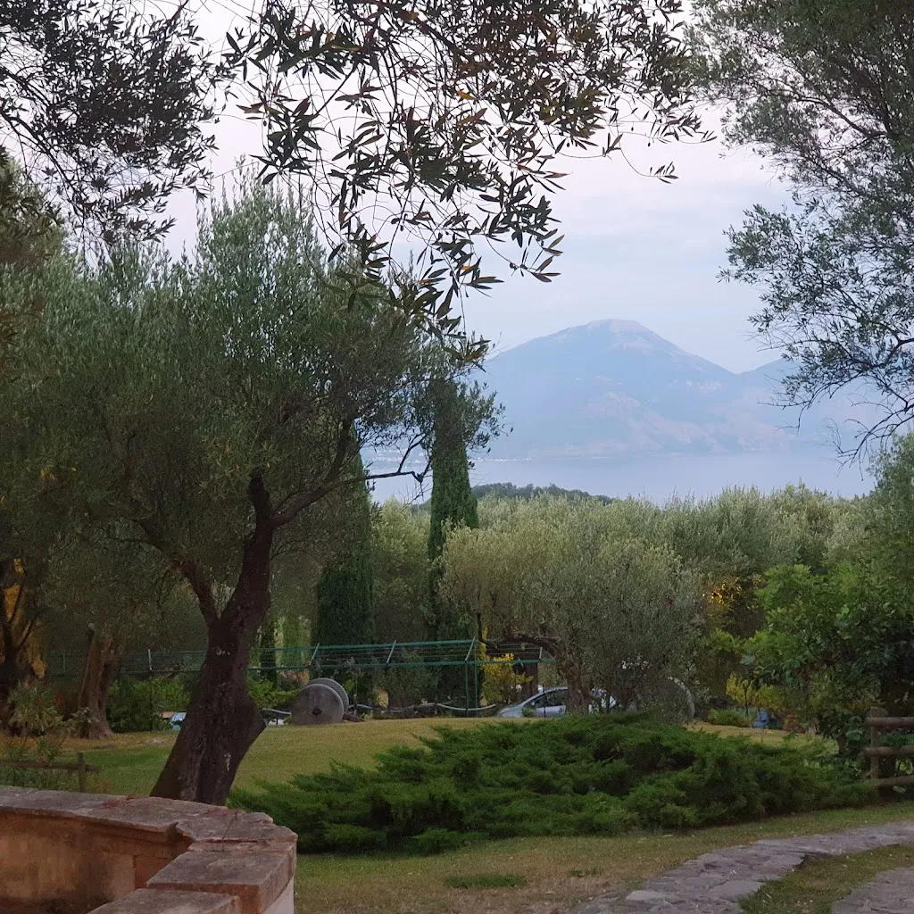 Gaetano Comitini_La Cucina di Pie' d'Ulivo_San Giovanni A Piro_review