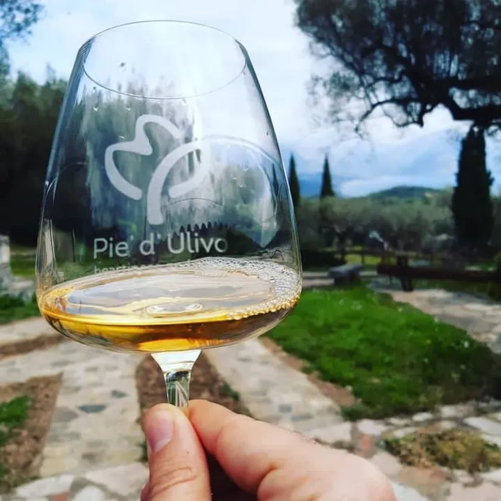 La Cucina di Pie' d'Ulivo_San Giovanni A Piro_slider_image_3