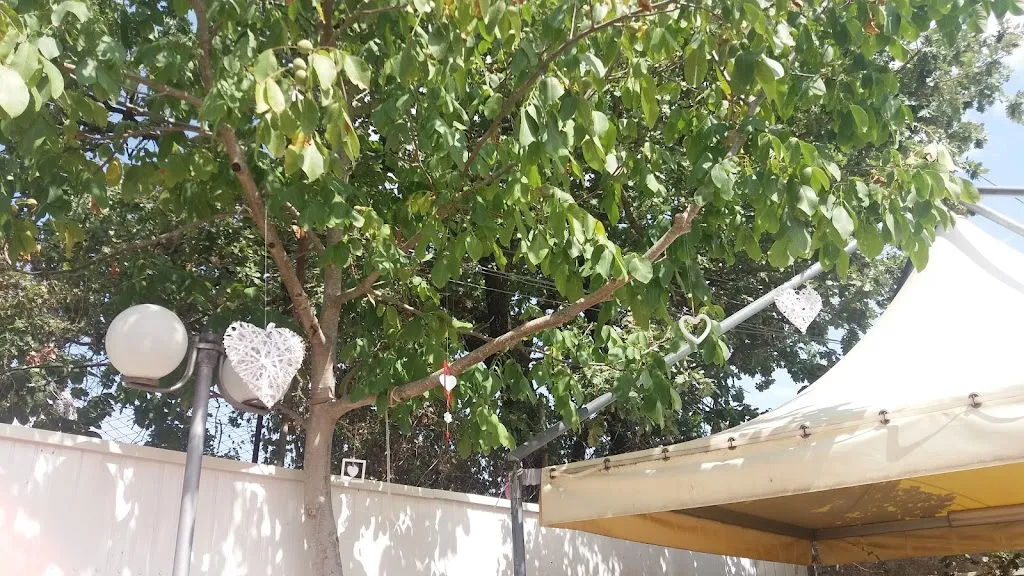 Ristorante Malpede_San Gregorio Magno_slider_image_3