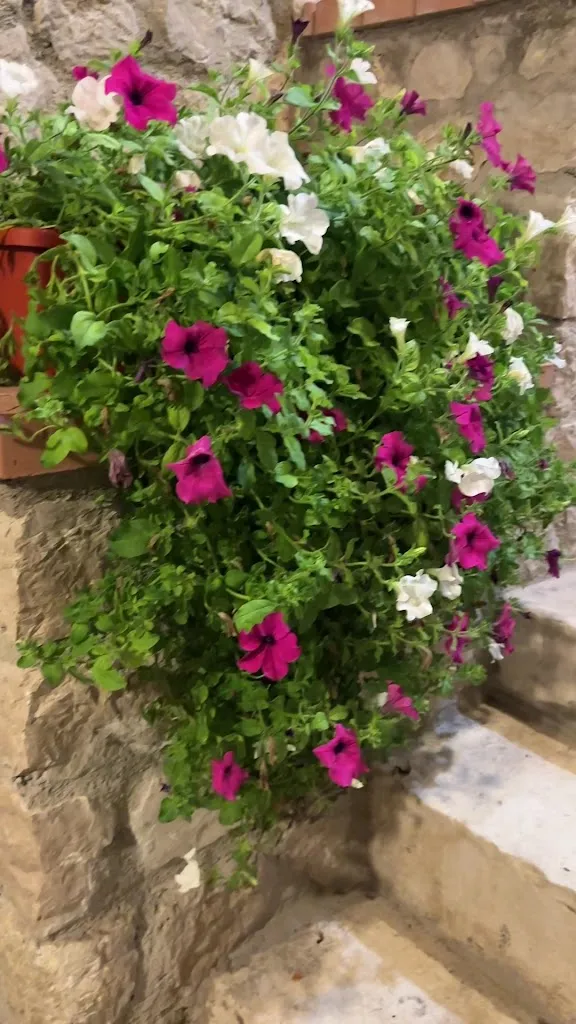 FRANCESCO SELLITTI_Il Brigante Angiolillo_San Gregorio Magno_review