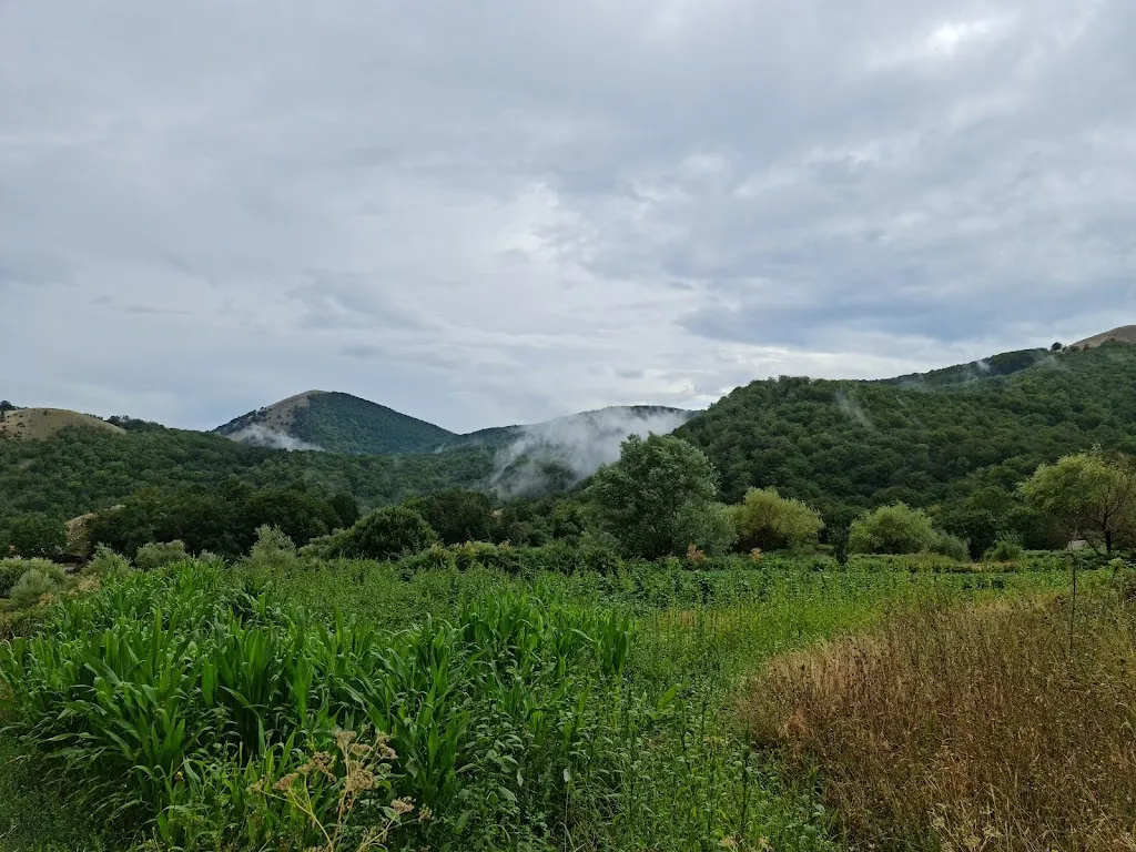 Daniel W._Agriturismo Lu Craparizz_San Gregorio Magno_review