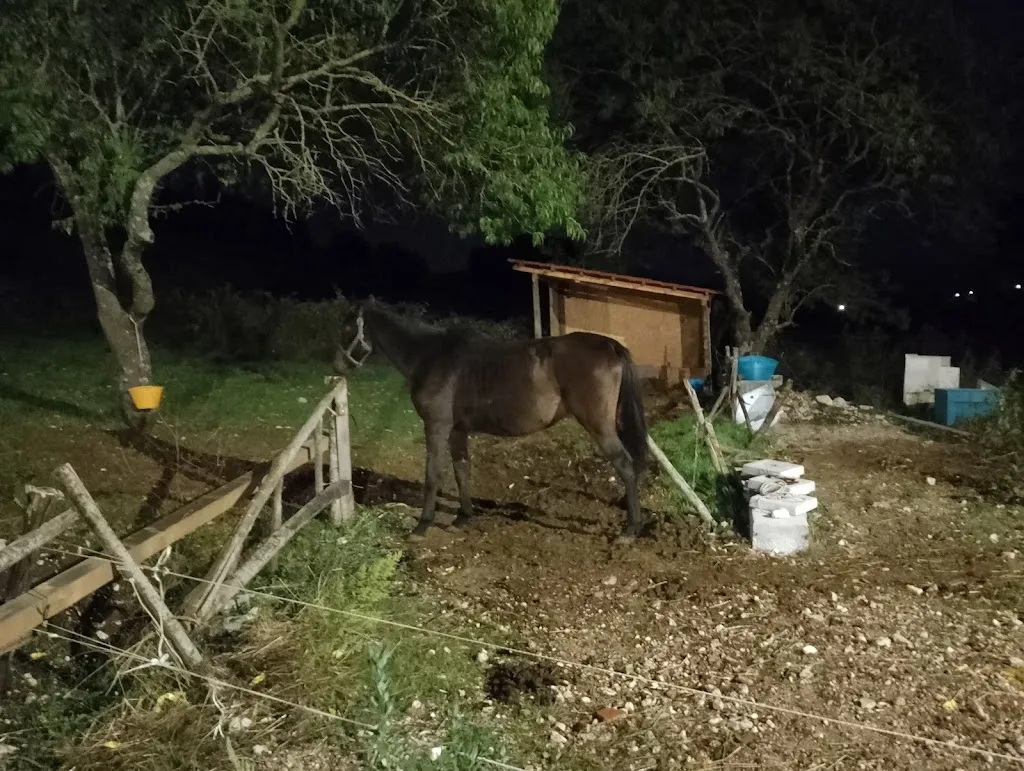 Gennaro Deiulis_Villa Ada Agri Home Restaurant e B&B_San Gregorio Magno_review