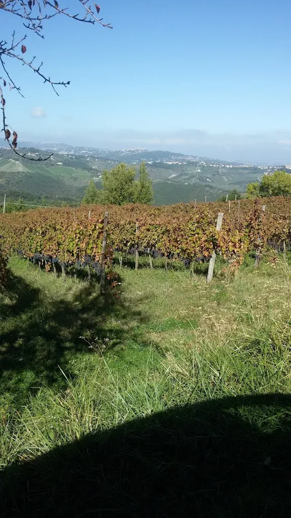 la locanda dell'ozio_San Mango sul Calore_slider_image_3