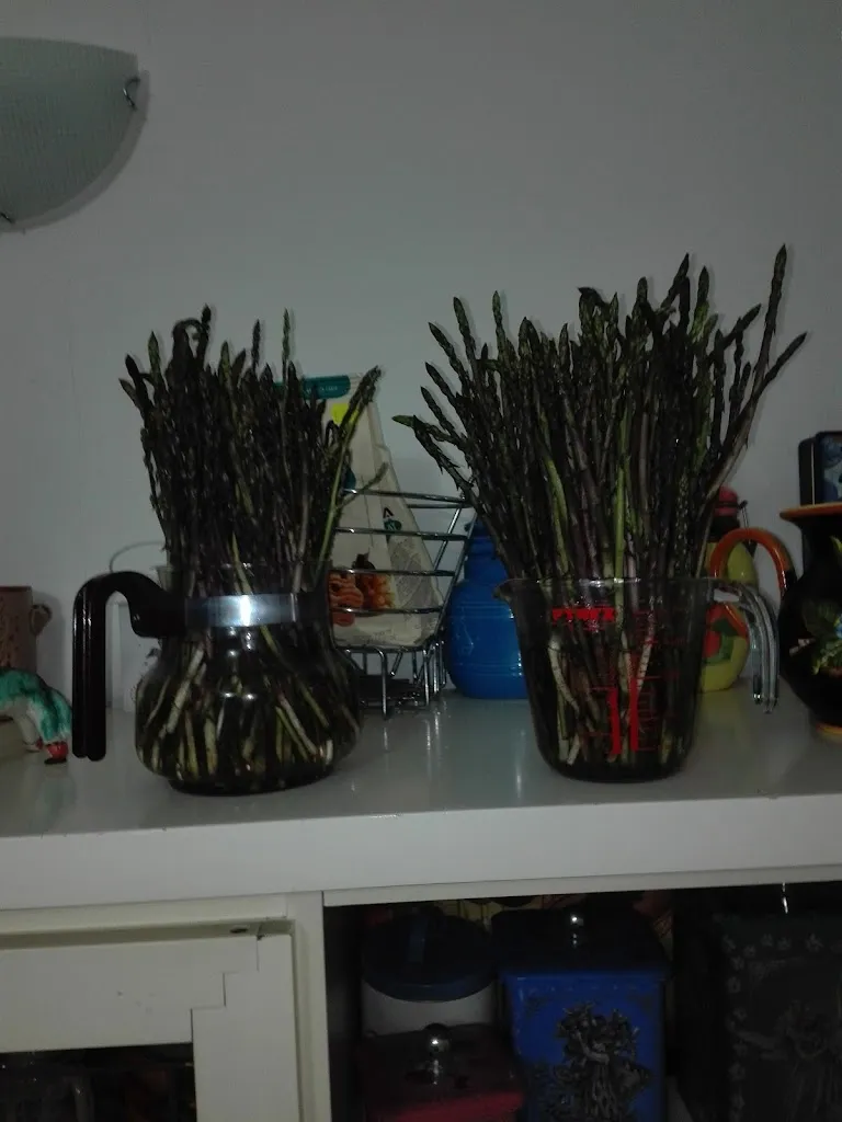 Tabula_San Mango Piemonte_slider_image_2