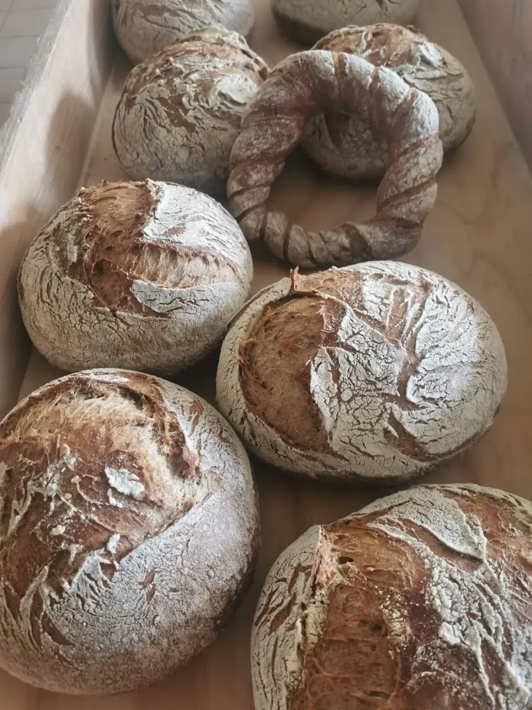 Menu_ilfioredellaspiga_San Martino Valle Caudina_image_2