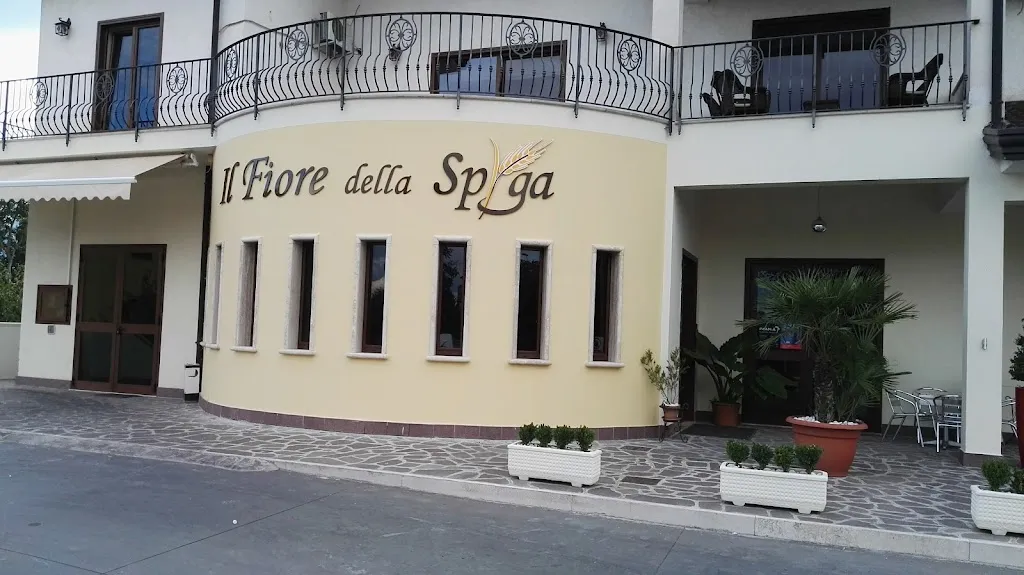 Antonio D Ambrosio_ilfioredellaspiga_San Martino Valle Caudina_review