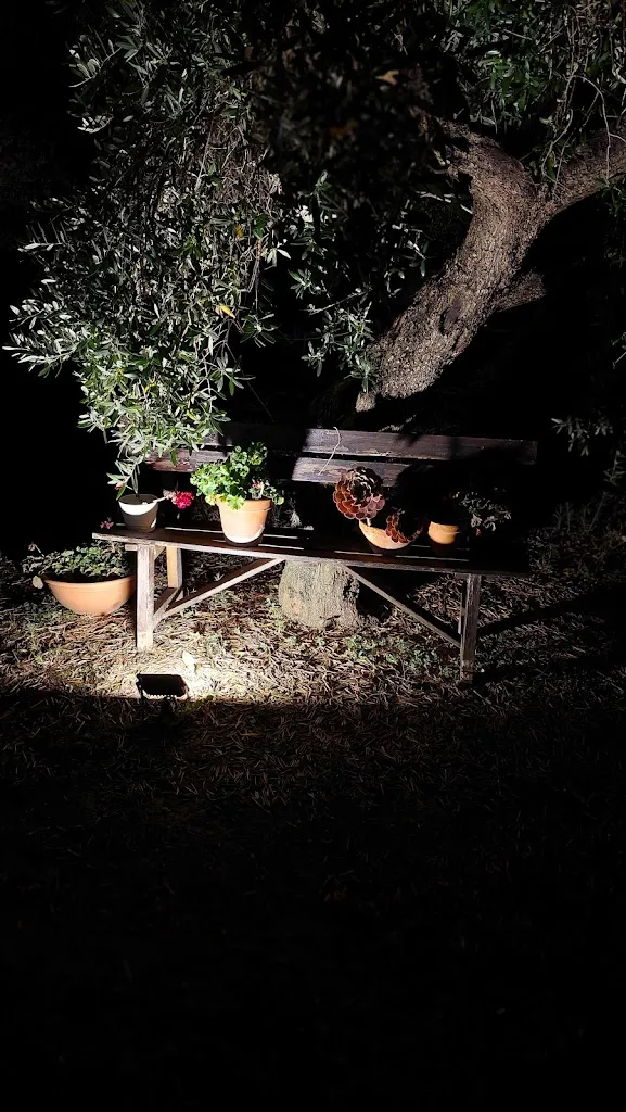 Tony Palla_Agriturismo l'Elisir di Atena_Moscufo_review