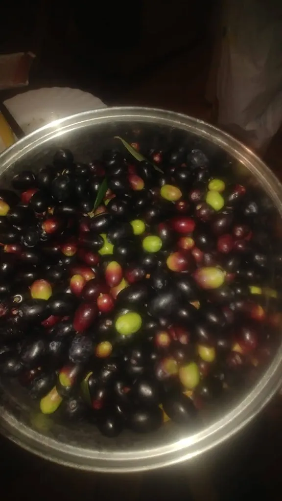 Menu_Bar Meeting_San Mauro Cilento_immagine_6