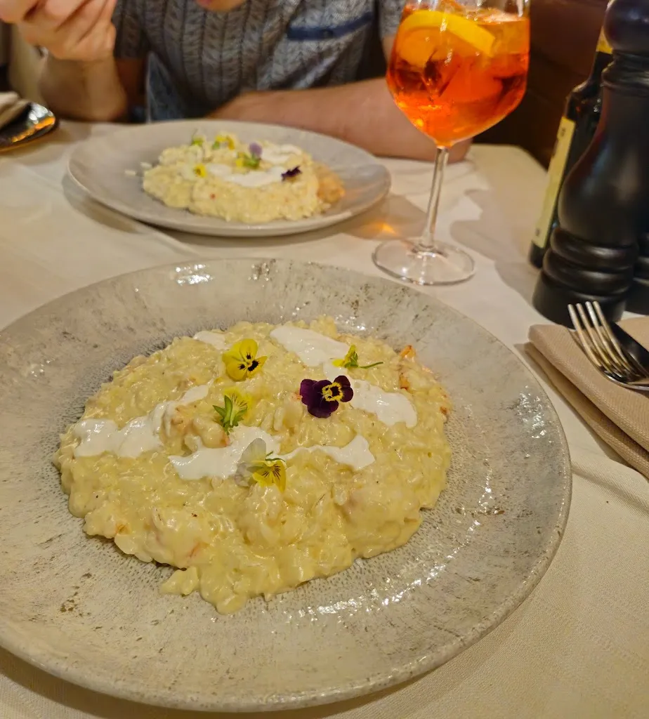 Eleasha O'Connor_La Piazza_San Marco_review