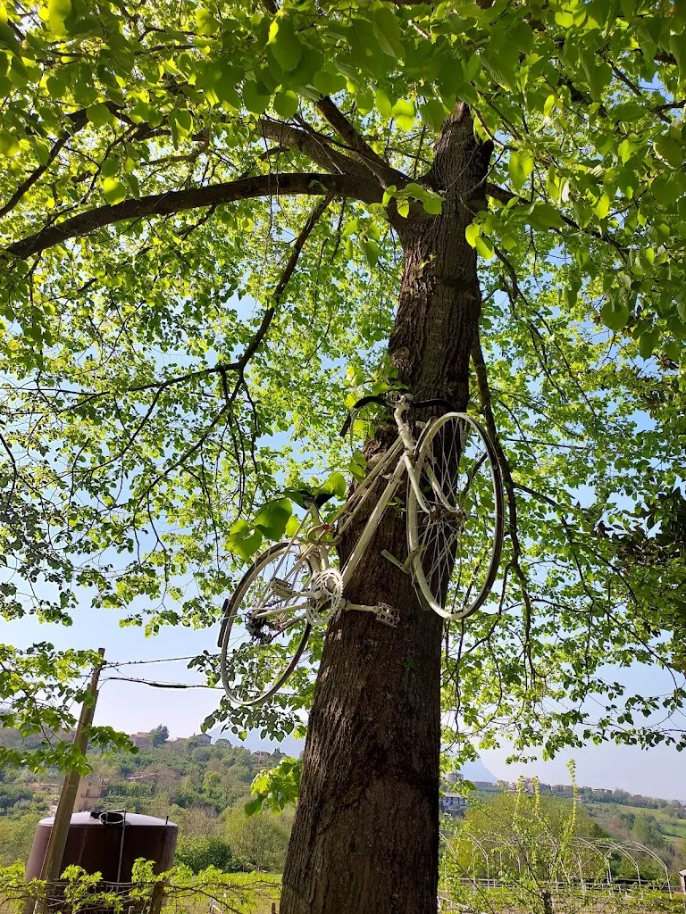 ciaccarella ciacy_Il Cerreto_San Michele di Serino_review