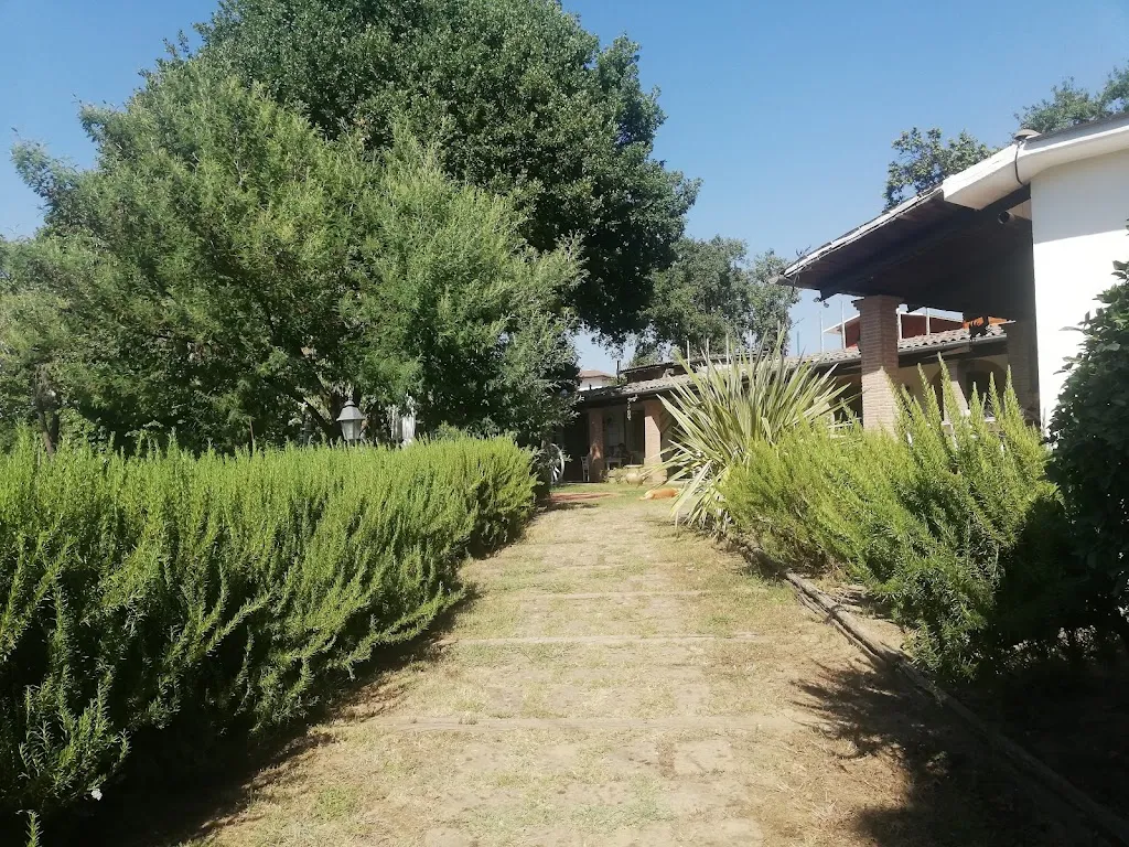 Matteo Sonatore_Il Cerreto_San Michele di Serino_review