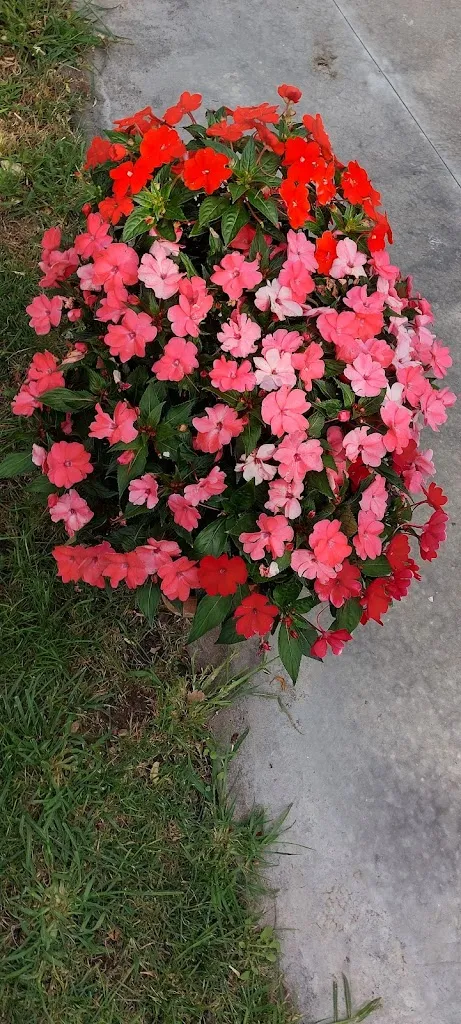 Luisella Talone_La Tenuta_Mozzagrogna_review