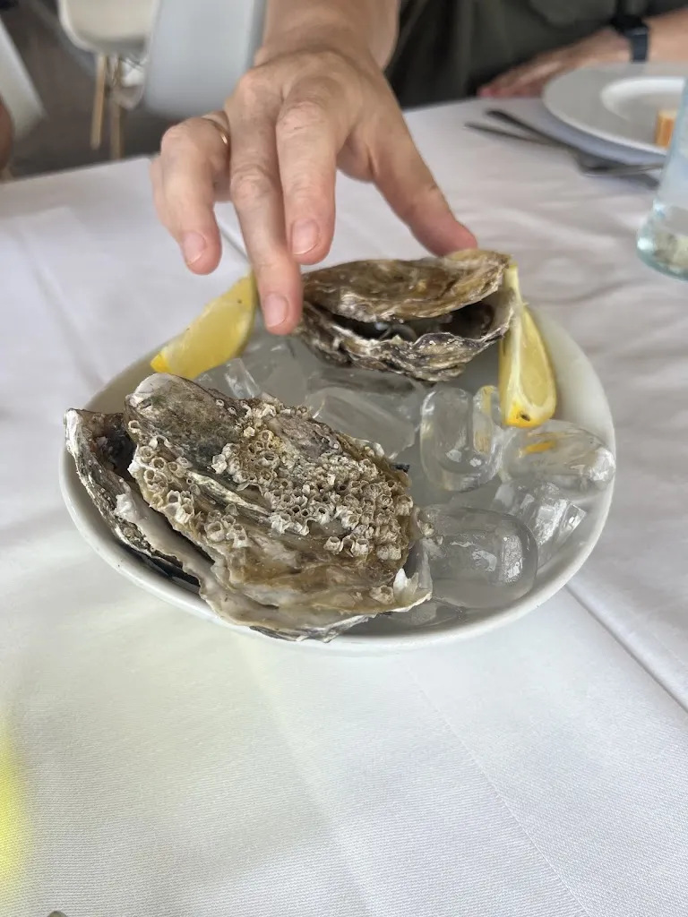 Veta_Focu_Montesilvano Marina_review