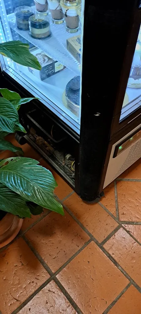 Claudio_Borgo71_San Pietro Infine_review