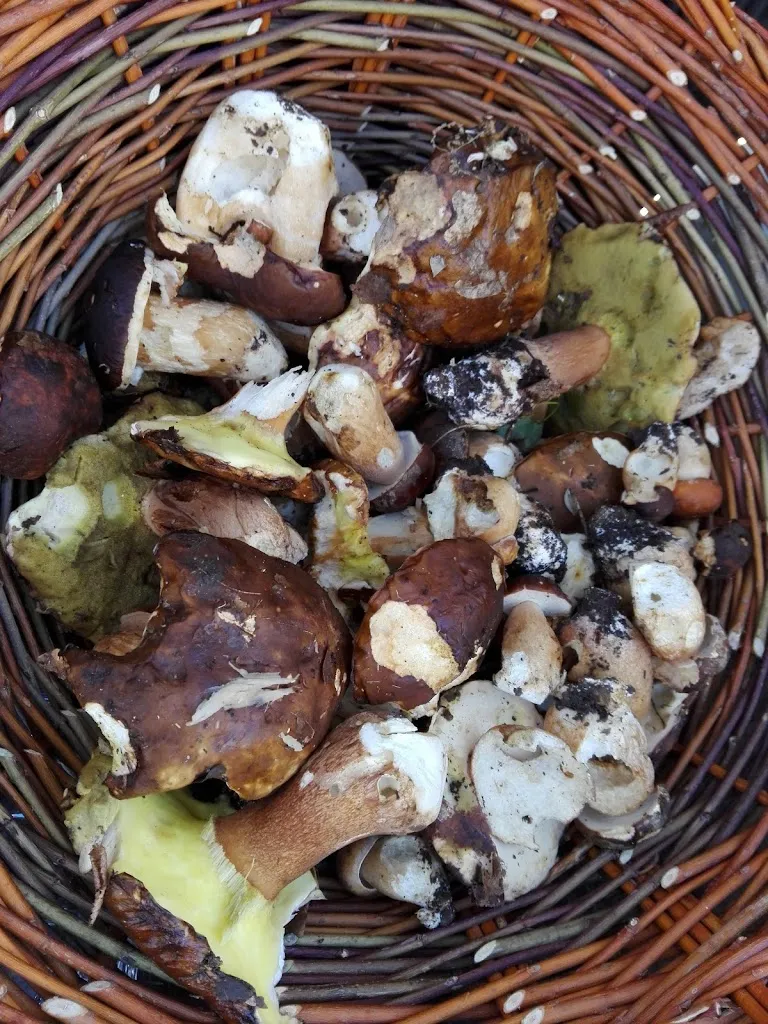 Menu_Pan Cafè_San Sossio Baronia_image_3