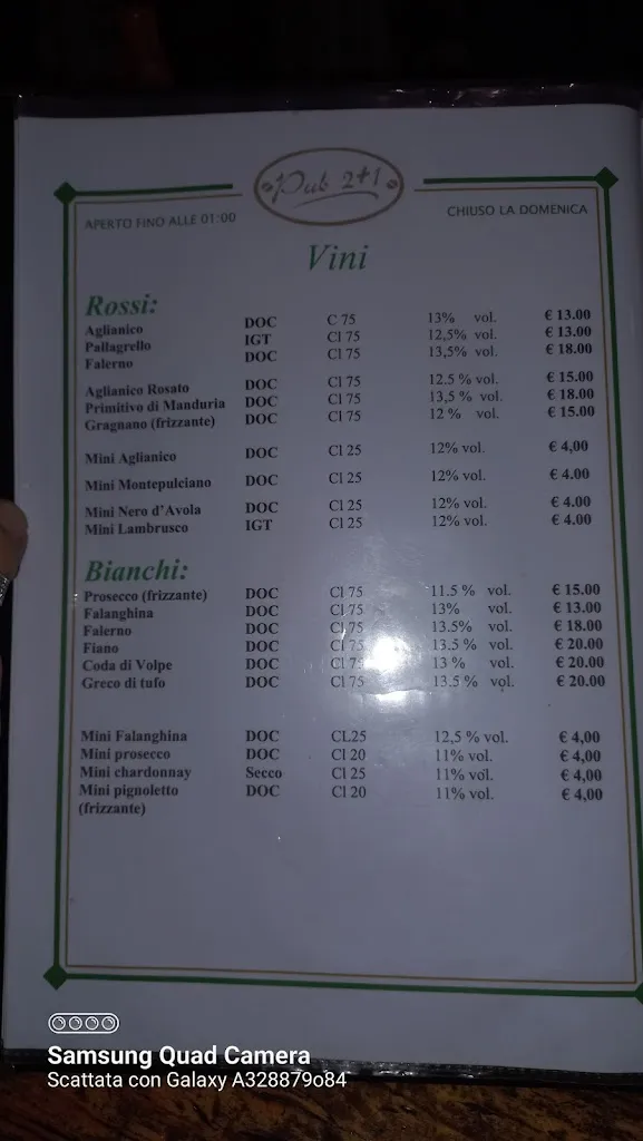 Menu_Pub 2+1 Ristorante Pizzeria_San Nicola la Strada_immagine_2