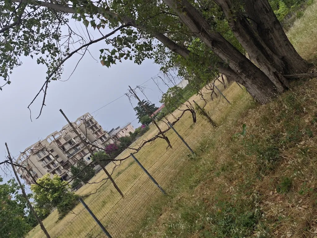 Autogrill Storico Pavesi_San Nicola la Strada_slider_image_2