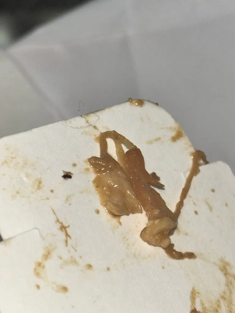 Marika Notaro_La Pokeria_San Vitaliano_review