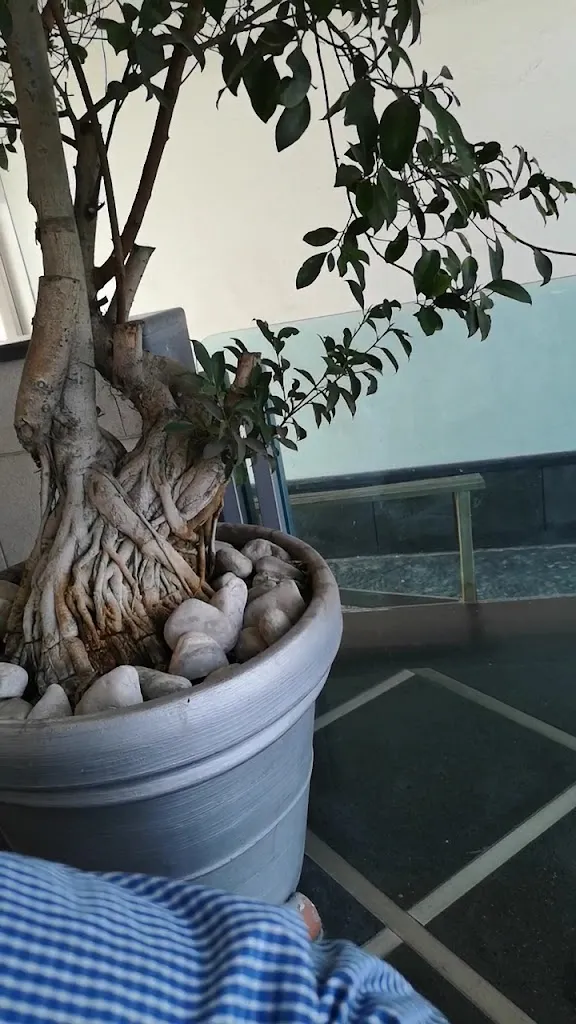 Best Western Hotel Ferrari_San Vitaliano_slider_image_2