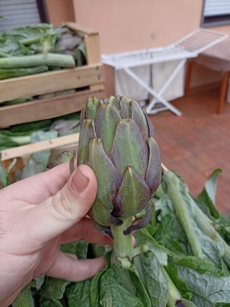 Girarrosto ti spiedo in 2 addu giggion restaurant in San Valentino Torio