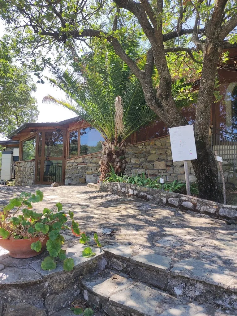 Erika_Azienda Agrituristica La Rocca Degli Ulivi_Sant'Angelo A Fasanella_recensione