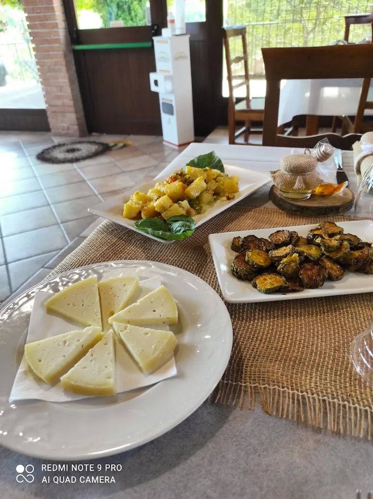 Menu_Agriturismo Campo Aperto_Sant'Angelo A Scala_image_6