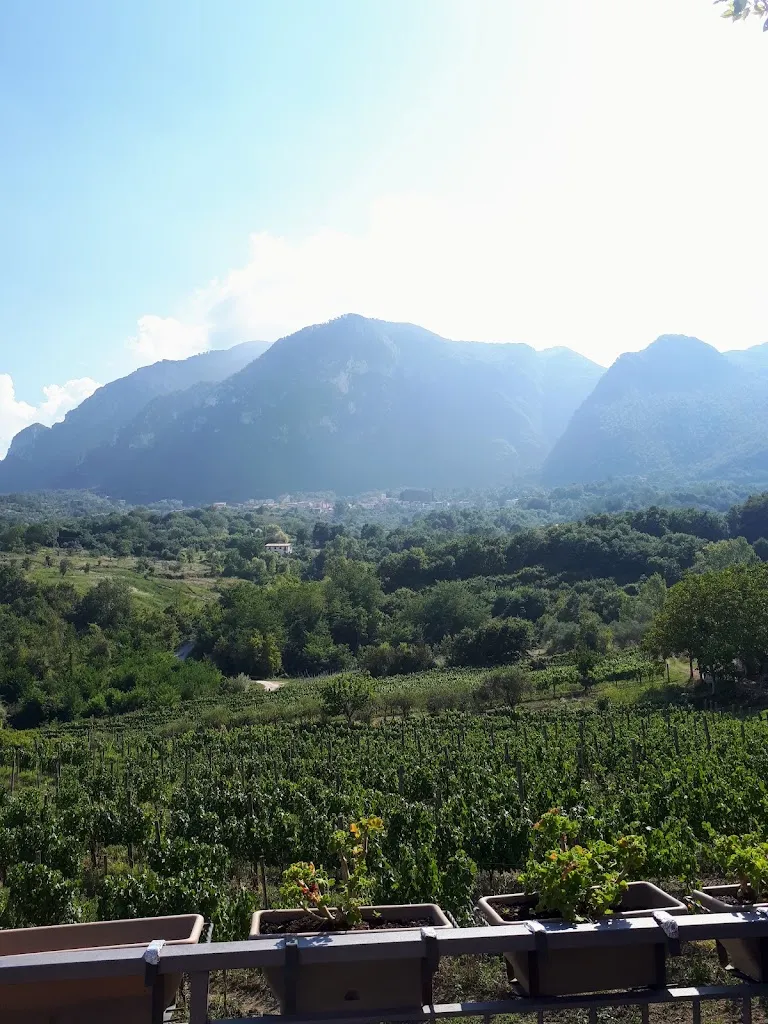 Ketty Supino_Agriturismo Campo Aperto_Sant'Angelo A Scala_review