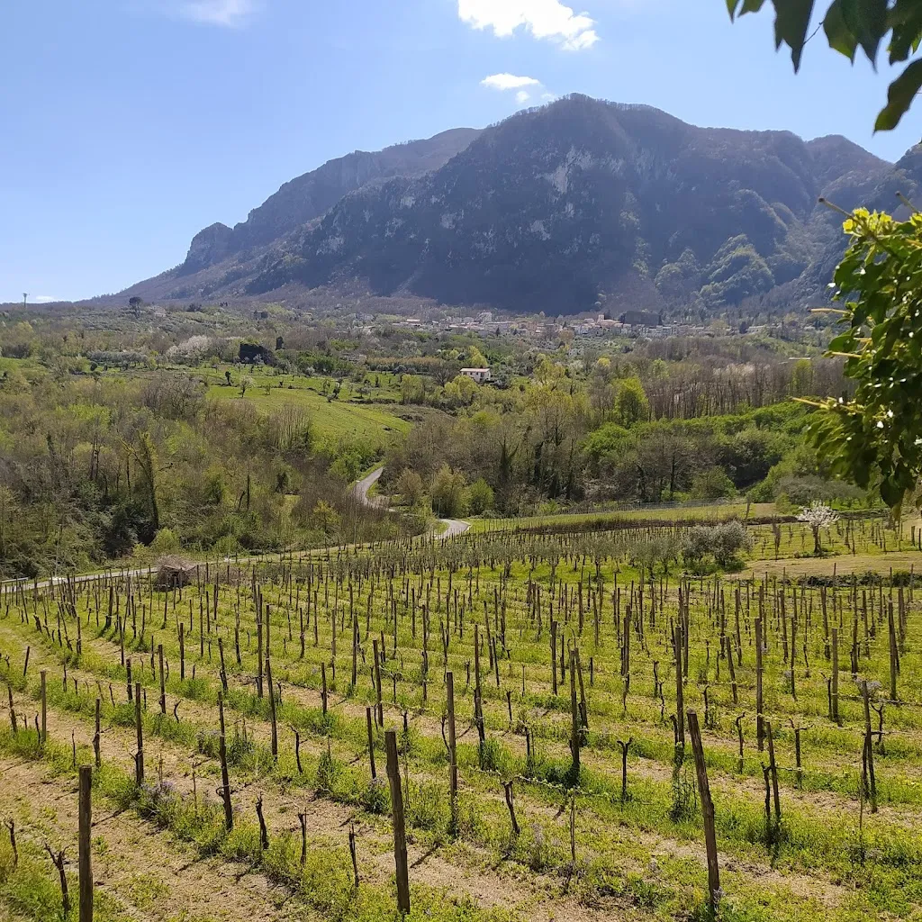 Agriturismo Campo Aperto_Sant'Angelo A Scala_slider_image_3