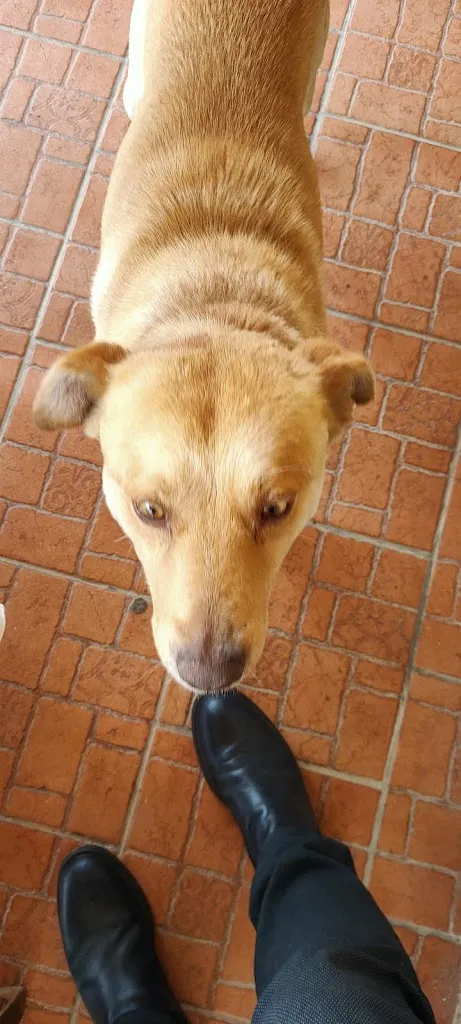 Francesco Calderaro_Azienda Agrituristica La Piccola Fattoria Al. Si. To._Sant'Agata de'Goti_review