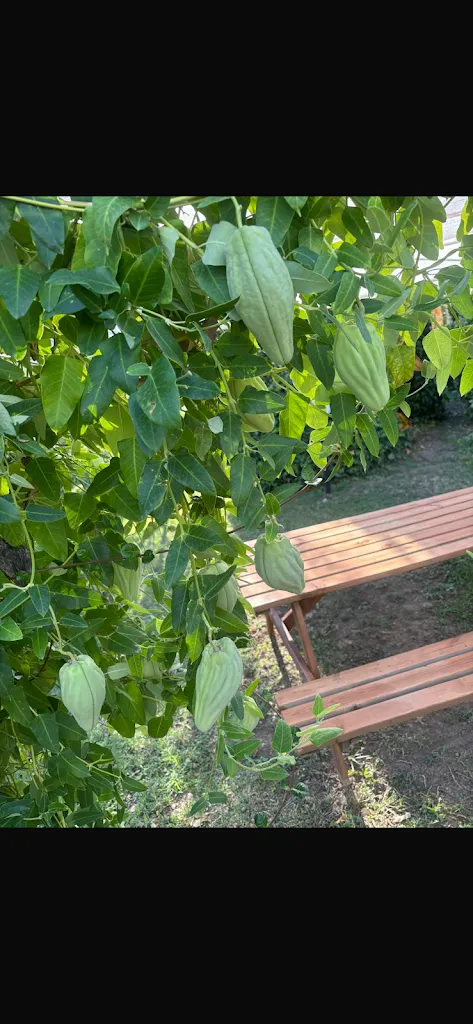 Giovanna Esposito_I Giardini di Eidos_Sant'Agata de'Goti_review