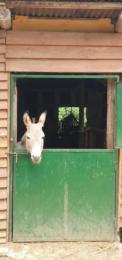 The Queen Bee Farm_Sant'Agata de'Goti_slider_image_3