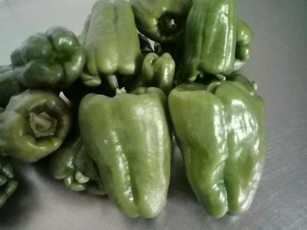 Menu_La Fattoria Del Melopiano_Sant'Angelo d'Alife_image_3