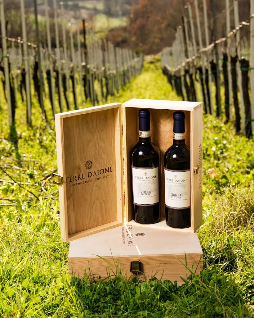 Terre D'Aione restaurant in Santa Paolina