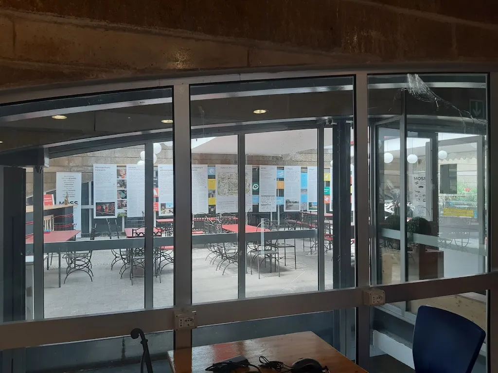 Anna B_Chikù, ristorante, catering, eventi, spazio culturale_Scampia_review