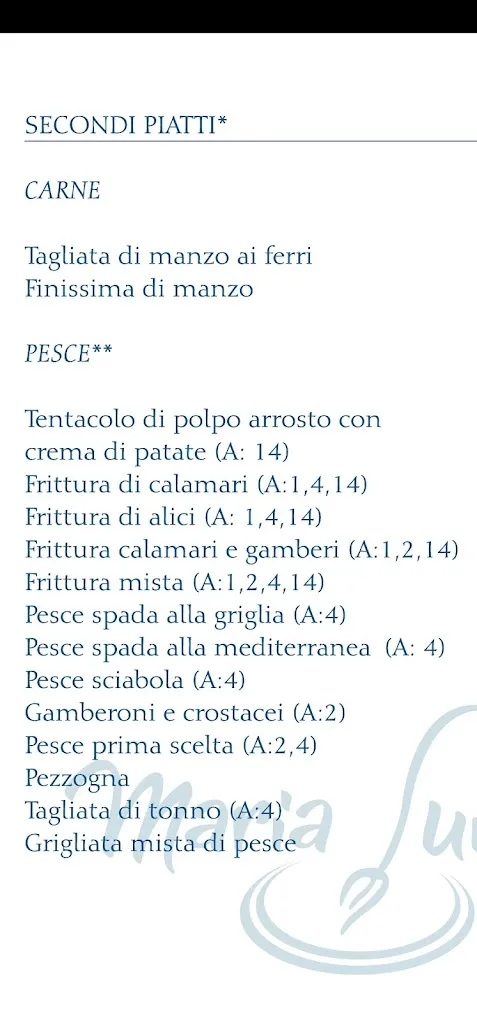 Menu_Ristorante Maria Luisa_Scario_image_2