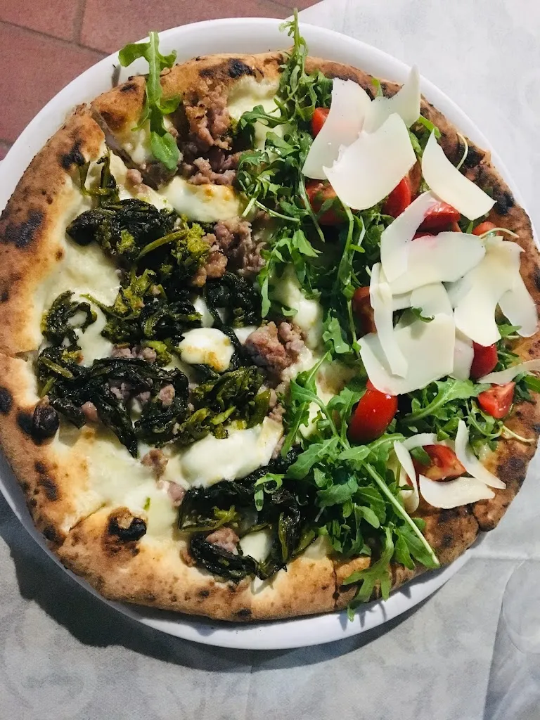 Judy Rowett_Quo Vadis_Scario_review